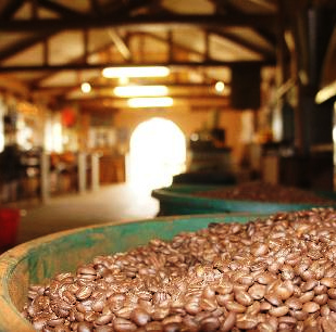 Produção de café na Fazenda Ribeirão das Areias